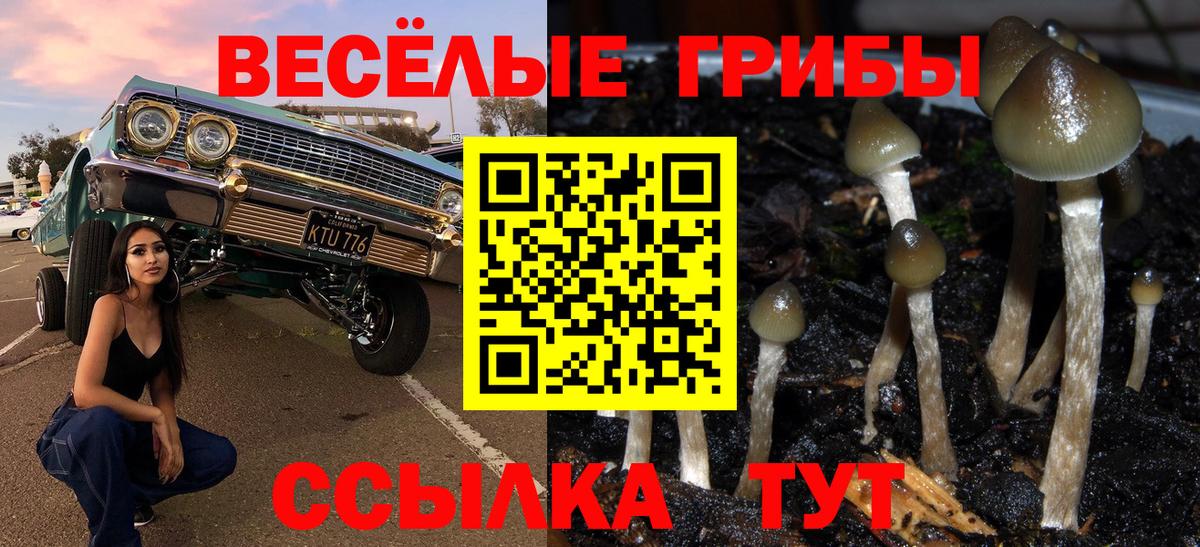 Псилоцибиновые грибы MAGIC MUSHROOMS  Вход с VPN  Арзамас 